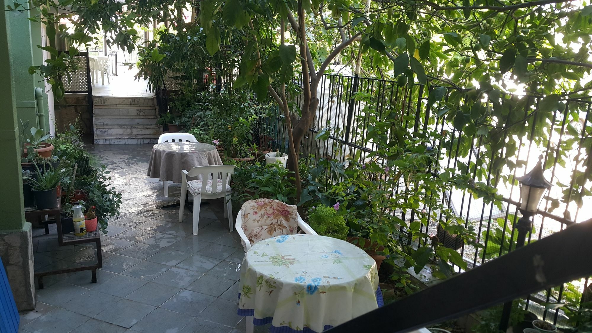 Cicek Hotel & Apartments Fethiye Exteriör bild